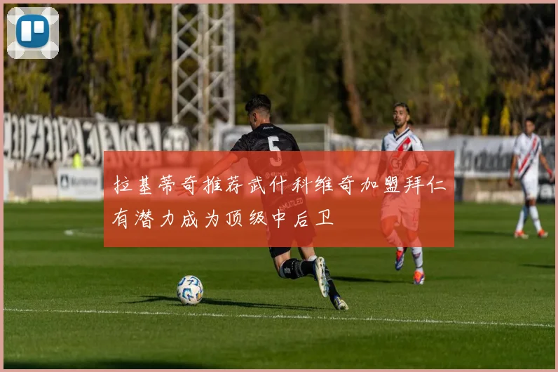 拉基蒂奇推荐武什科维奇加盟拜仁有潜力成为顶级中后卫