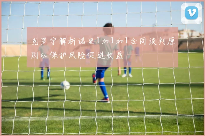 克罗宁解析诺里1加1加1合同谈判原则以保护风险促进收益